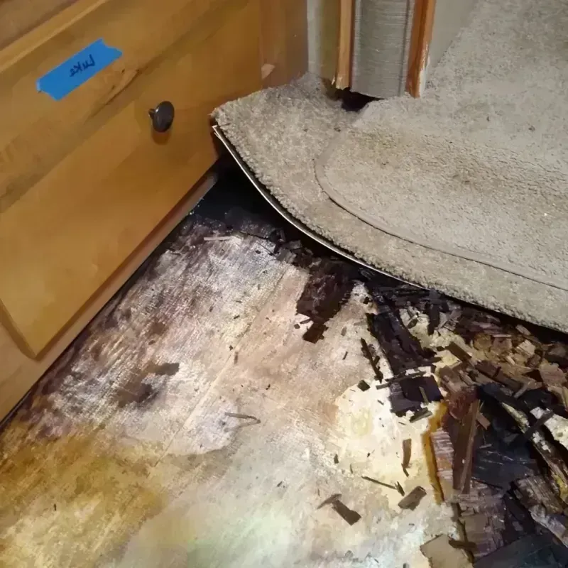 Wood Floor Water Damage in Vandalia, IL